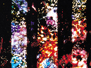 Chartres Series de Stan Brakhage Chartres Series de Stan Brakhage