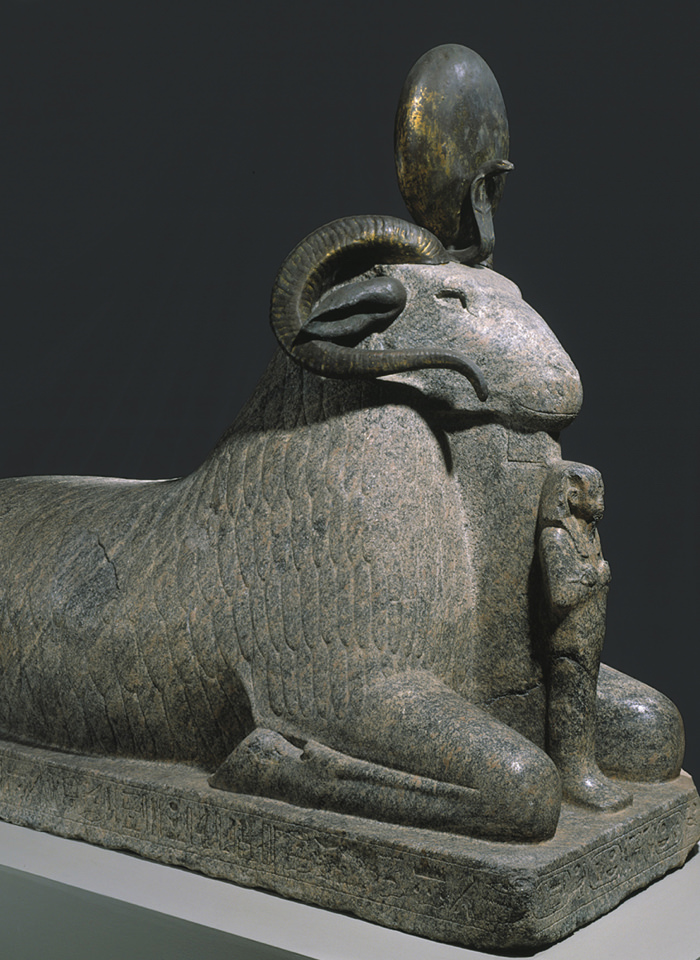 Statue de bélier Aménophis III transporté de Soleb au Djebel Barkalsous sans doute sous Piânkhi