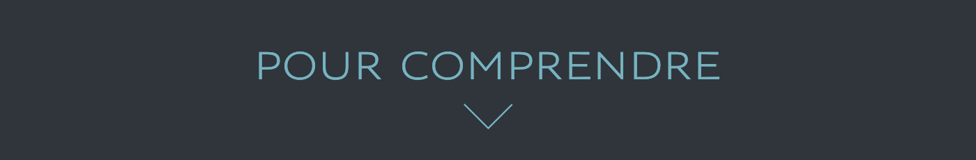 POUR COMPRENDRE