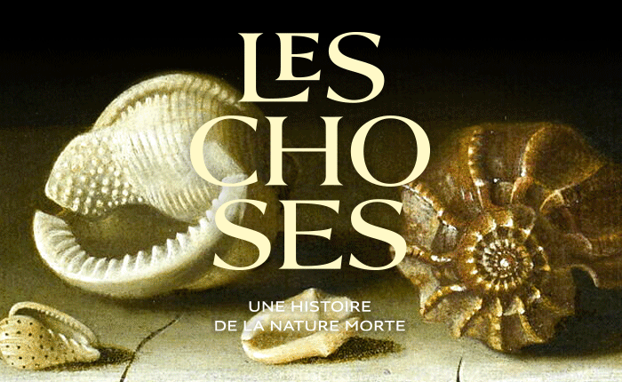 LES CHOSES Une histoire de la nature morte
