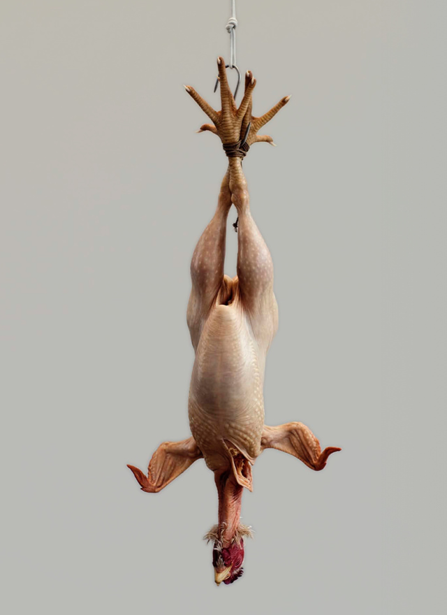 Statue de bélier Aménophis III transporté de Soleb au Djebel Barkalsous sans doute sous Piânkhi Statue de bélier Aménophis III transporté de Soleb au Djebel Barkalsous sans doute sous Piânkhi