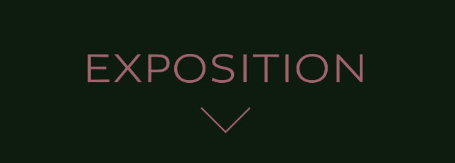 EXPOSITION