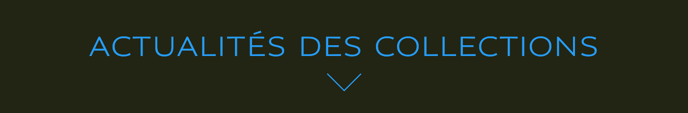 ACTUALITÉ DES COLLECTIONS