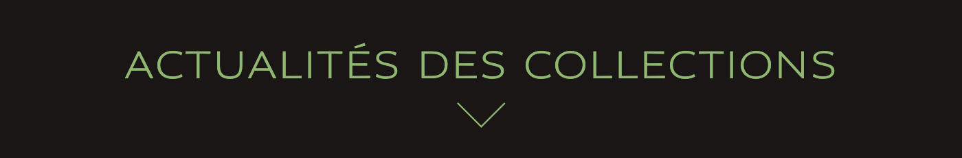 ACTUALITÉS DES COLLECTIONS