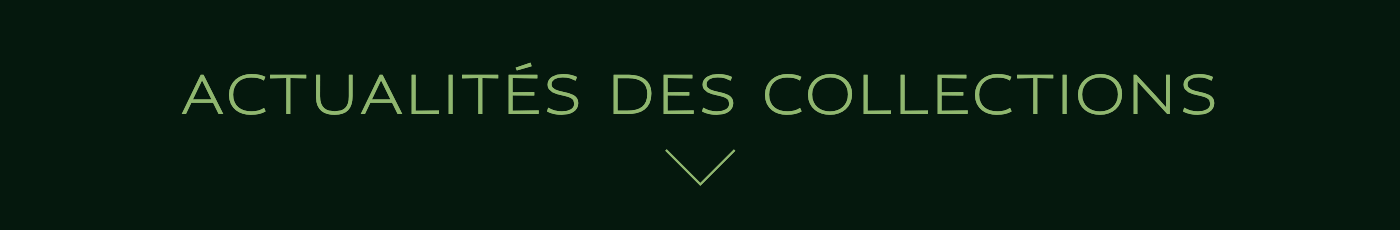 ACTUALITÉS DES COLLECTIONS ACTUALITÉS DES COLLECTIONS