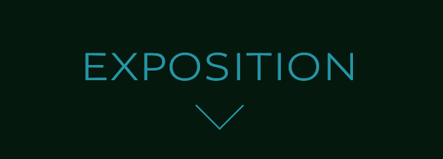 EXPOSITION EXPOSITION