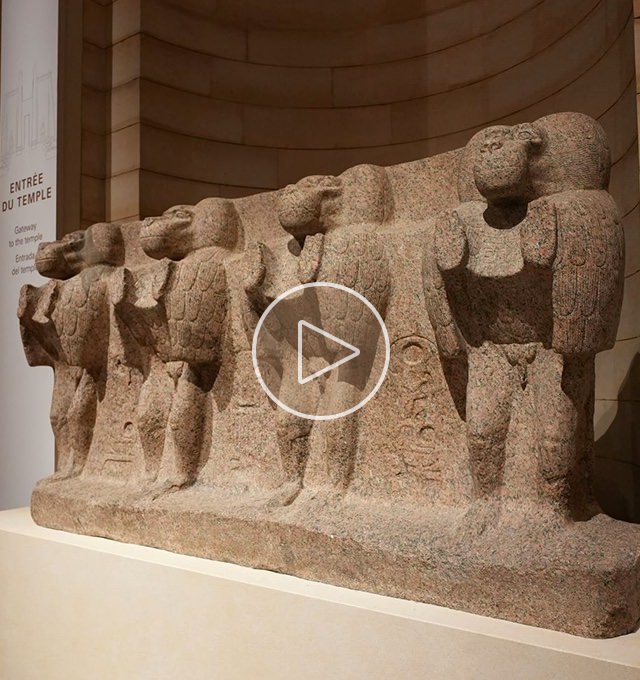 Les babouins de Louxor