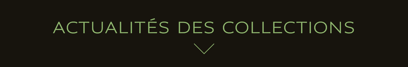 ACTUALITÉS DES COLLECTIONS