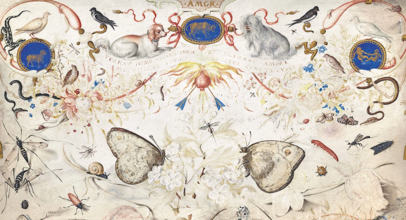 L’Expérience de la nature L’Expérience de la nature