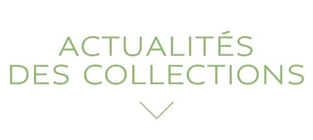 ACTUALITÉS DES COLLECTIONS