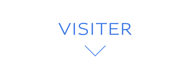 VISITER