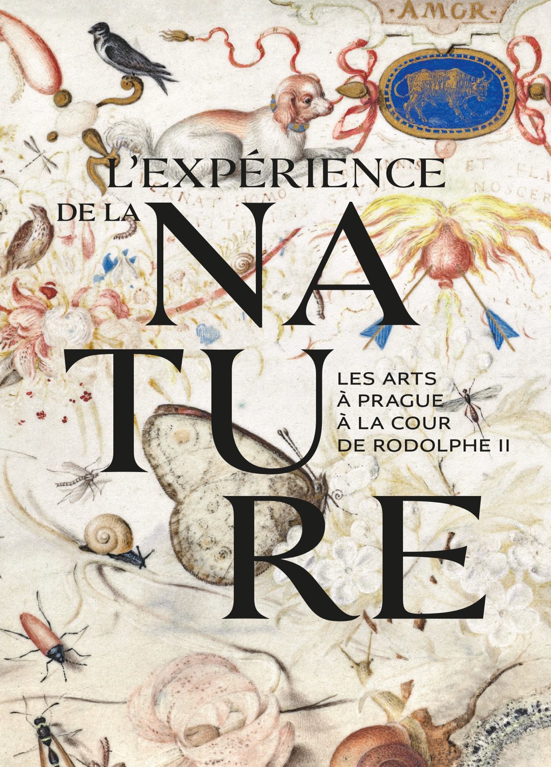 Plus d’information sur l’exposition