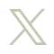 X (Twitter)