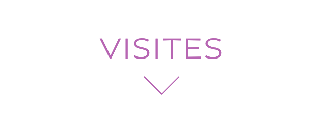 VISITES VISITES